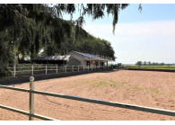 Vakantiehuis op een paardenhouderij in Friesland VMP067