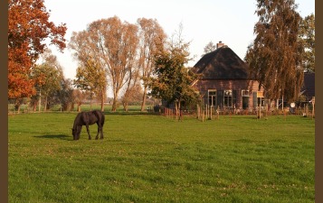 Op vakantie met uw eigen paard of paarden in Nederland??
