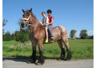 Minicamping de Buck met weidegang in Oostkapelle op Walcheren VMP084