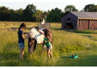 Boerderijcamping Jobinghoeve Grolloo VMP033