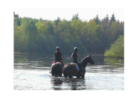 B&B met paardenboxen Hilvarenbeek Noord-Brabant VMP069