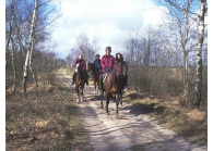 Sfeervolle camping met paard aan de rand van het Dwingelderveld in Drenthe VMP134