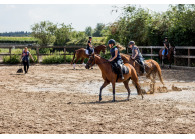 Vakantie met paard Landgoed Scheleberg VMP075