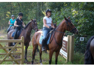 Vakantiehuizen op park Horsetellerie Rheezenveen VMP061