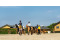 FarmCamps Holzik Stables VMP025