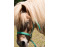 Gastenverblijf met paard in Het Voorhuis in Noord-Brabant VMP017