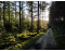 Recreatiepark De Boshoek met paard VMP098