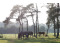 Recreatiepark De Boshoek met paard VMP098