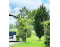 Wellnesshuisje met stal in Langbroek  VMP094