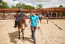 Pony vakantie Landal het Land van Bartje VMP079