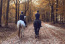 Recreatiepark De Boshoek met paard VMP098