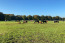 5-sterren camping op de Veluwe Voorthuizen VMP115