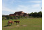 Safaritent Camping Eefting in Rohel met paarden VMP023