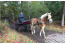 Vakantiewoning met paardenstal in het landelijke Pelt VMP085			