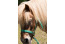 Gastenverblijf met paard in Het Voorhuis in Noord-Brabant VMP017