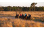 Buitenritten door de Loonse en Drunense Duinen i.s.m. Natuurpoort Van Loon VMP012