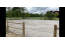 Recreatiepark Het Eperwoud met paard VMP029