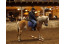 Vakantiepark Weerterbergen i.s.m. Stal van Horne Hoeve VMP015