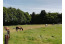 Bed en Pasture in Noord-Brabant VMP078