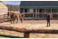 Horseback Holidays VMP069