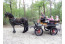 Kamperen met uw paard op Camping t Witte Zand VMP091