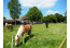 Kamperen met uw paard op Camping t Witte Zand VMP091