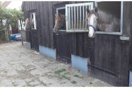 Vrijstaand huisje met paardenstallen en weidegang VMP039