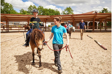 Pony vakantie Landal het Land van Bartje VMP079