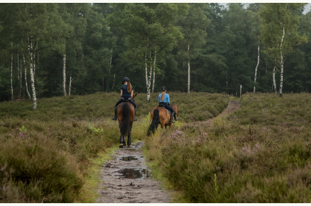 Gastenverblijven op het landgoed van Hoeve WoudStee VMP123