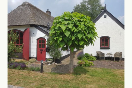 Vrijstaand huisje op erf Loenen Gelderland VMP113