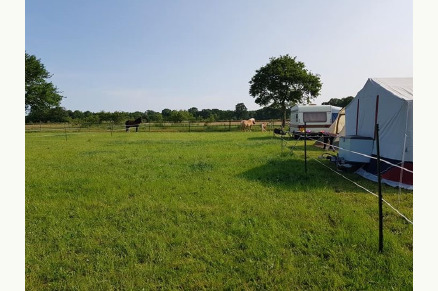 Recreatiepark Het Eperwoud met paard VMP029