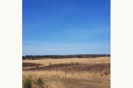 Bungalow Het Caitwickerzand op de Veluwe met paardenweide VMP024