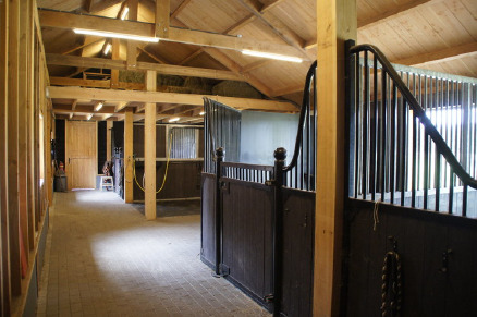 Recreatiepark Het Eperwoud met paard VMP029