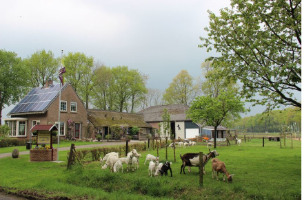 Natuurhuisje in Drenthe Dwingeloo VMP098