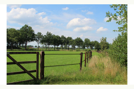 Vakantiehuisje met 24 uurs weidegang in Dalmsholte Overijssel VMP110