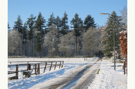 Vrijstaand huisje op erf Loenen Gelderland VMP113