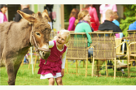 FarmCamps De Geele Bosch VMP096