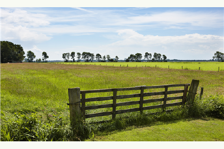 FarmCamps De Geele Bosch VMP096