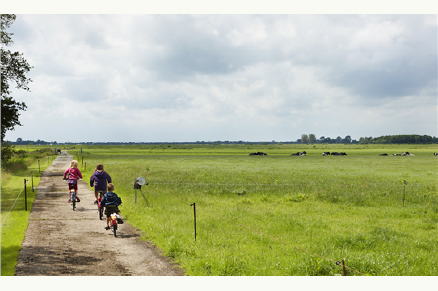 FarmCamps De Geele Bosch VMP096