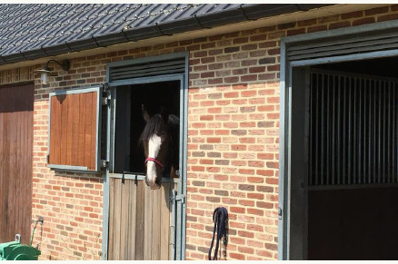 Vakantiewoning met paardenstal in het landelijke Pelt VMP085			