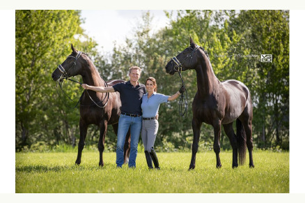 B&B met paardenboxen Hilvarenbeek Noord-Brabant VMP069