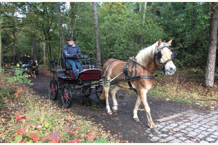 Vakantiewoning met paardenstal in het landelijke Pelt VMP085			