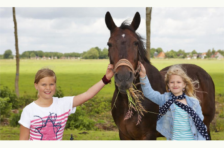 FarmCamps De Geele Bosch VMP096