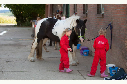 FarmCamps De Verloren Kost VMP095