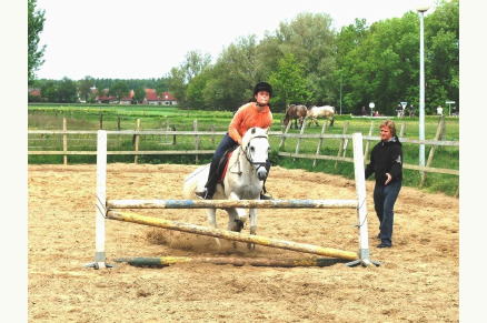 Minicamping de Buck met weidegang in Oostkapelle op Walcheren VMP084