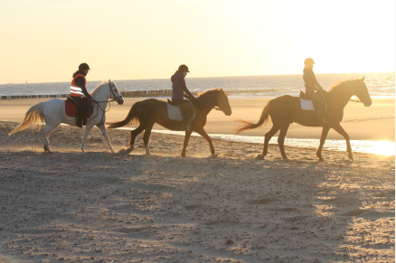 Minicamping de Buck met weidegang in Oostkapelle op Walcheren VMP084