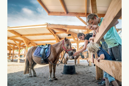 Pony vakantie Landal het Land van Bartje VMP079