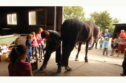 Minicamping de Buck met weidegang in Oostkapelle op Walcheren VMP084