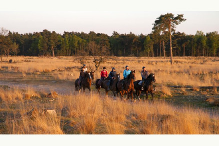 Buitenritten door de Loonse en Drunense Duinen i.s.m. Natuurpoort Van Loon VMP012