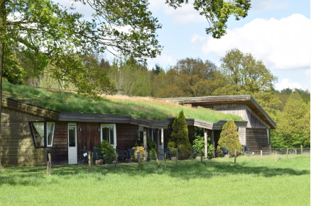 Gastvrij Landhotel Diever met weidegang in Drenthe VMP002